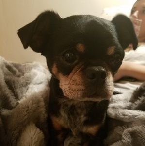 Meet your Posher, Justin